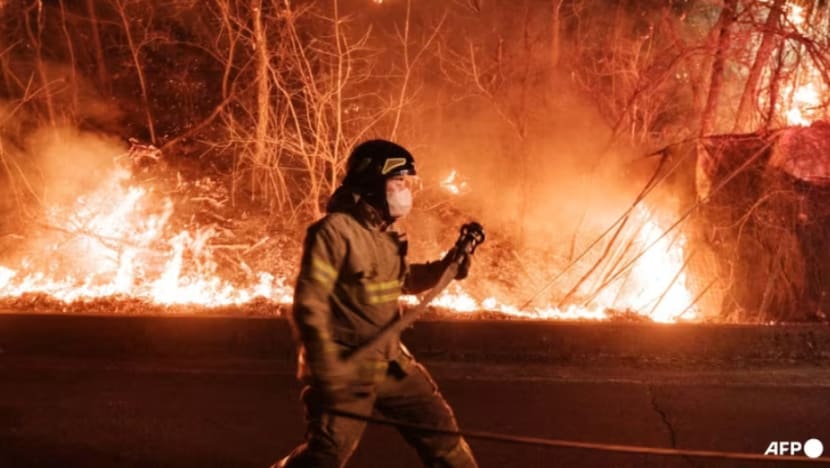 Hampir 15,000 hektar musnah akibat kebakaran hutan Korea Selatan