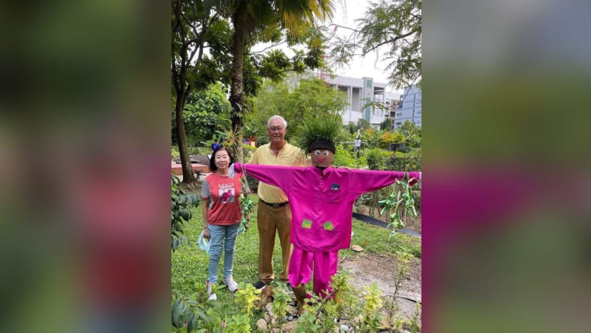 Goh Chok Tong 'dismayed' Hari Raya post with scarecrow was 'misinterpreted' Goh Chok Tong 'dismayed' Hari Raya post with scarecrow was 'misinterpreted'
