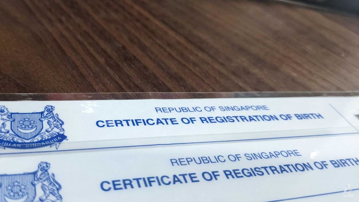 No more physical birth and death certificates from May 29, ICA to issue  digital certificates instead - CNA