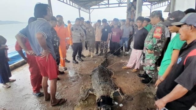 峇淡岛养殖场脱逃鳄鱼 公园局：不太可能现身新加坡水域
