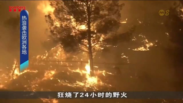 希腊高温飙至41摄氏度 雅典卫城因热浪短暂关闭