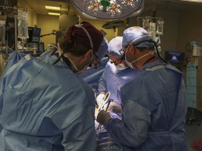 In this March 16, 2024, image courtesy of the Massachusetts General Hospital in Boston, Massachusetts, surgeons perform the world’s first genetically modified pig kidney transplant into a living human. 