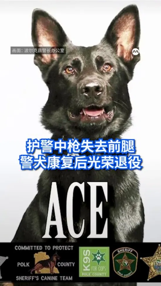 20260814_US_K9_Ace