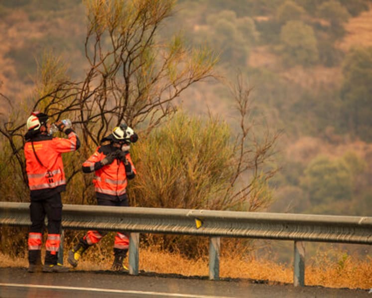 Strong wind complicates fighting wildfire in southeast Spain