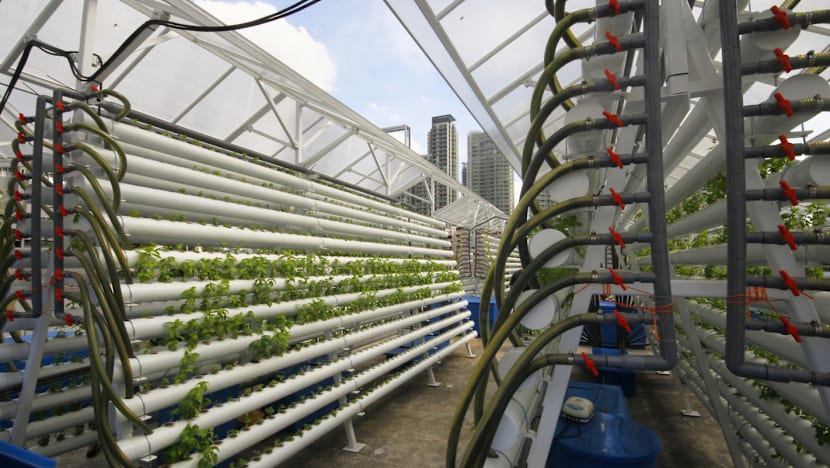 Land for farms up for tender, a first in decades