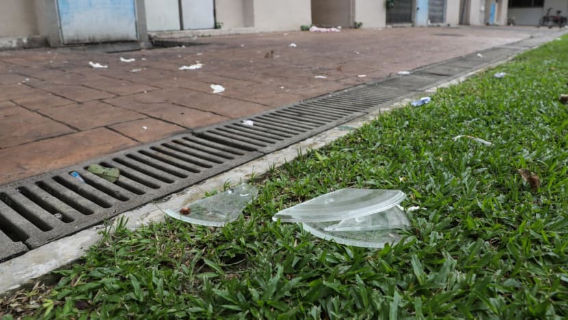 Explainer: Are suspects ‘guilty until proven innocent’ under revised killer litter law and who bears the burden of proof?