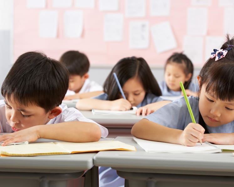 Commentary: Gifted students in focus, but what about those with learning difficulties?