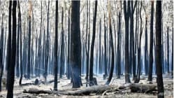 Related article image