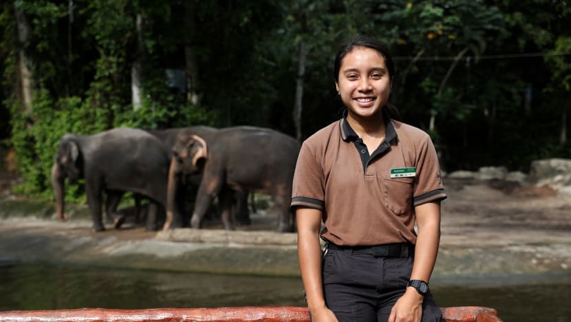 How do you win an elephant over? With food, says Singapore’s first female elephant keeper