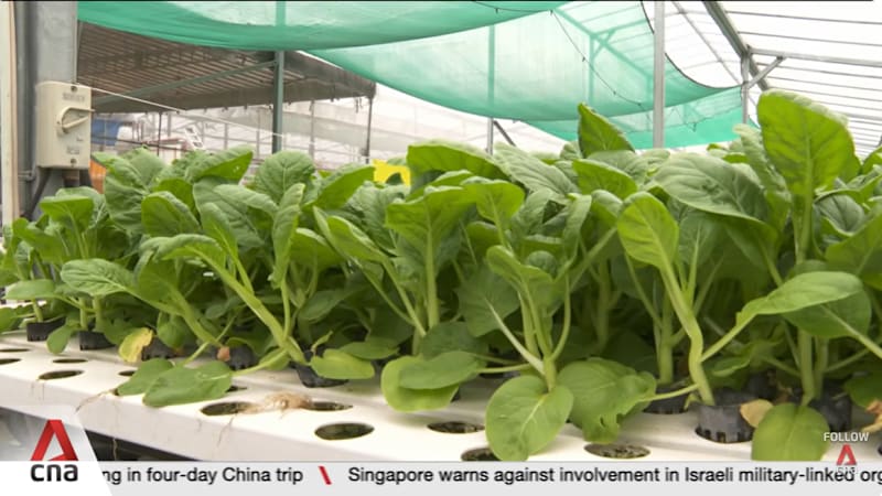 Rising fertiliser, fuel costs due to ongoing Middle East conflict impacting local farms