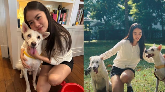 黄暄婷收养险遭宰杀的狗狗，开放网友私讯领养