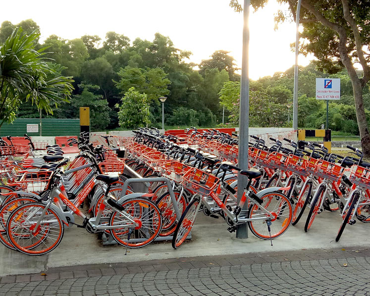 China's bike rental firms are actually secret cash cows