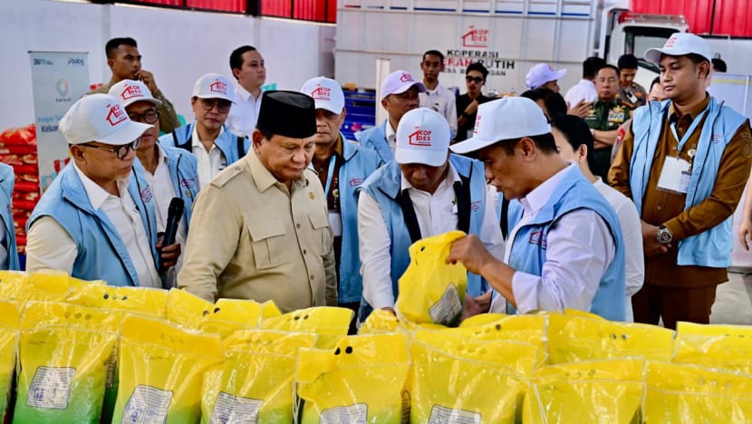 What's behind Indonesia’s US$25 billion plan to help villagers and why are experts concerned?