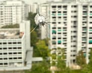 Man arrested after marble fired from catapult allegedly damages Woodlands flat window
