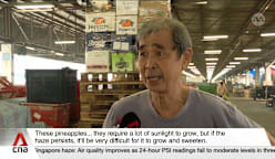 Wholesalers in Singapore say haze affecting vegetable size, supply and prices