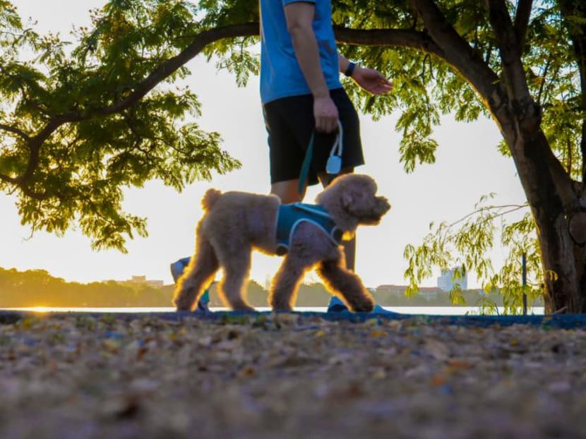 'Fart walking' after a meal is the latest health trend – but does it actually work? 'Fart walking' after a meal is the latest health trend – but does it actually work?