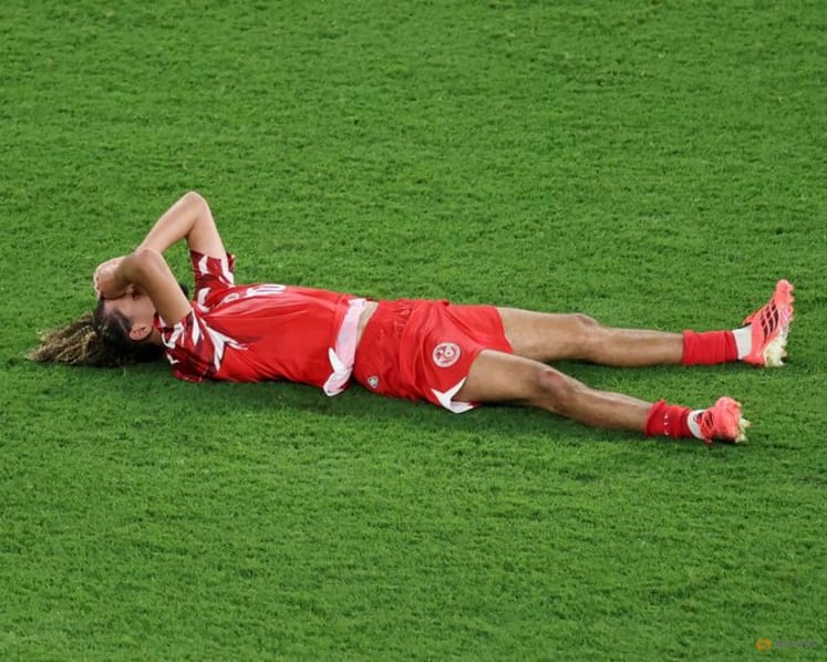 Elite Swedish strike force delivers Tunisian defence a reality check