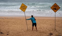 Australia shuts dozens of beaches in Sydney and the east coast after shark attacks 