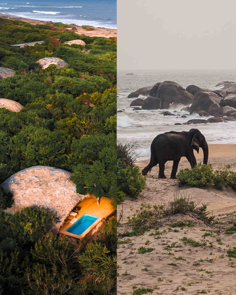 Just four hours from Singapore, Sri Lanka offers two very different safari experiences