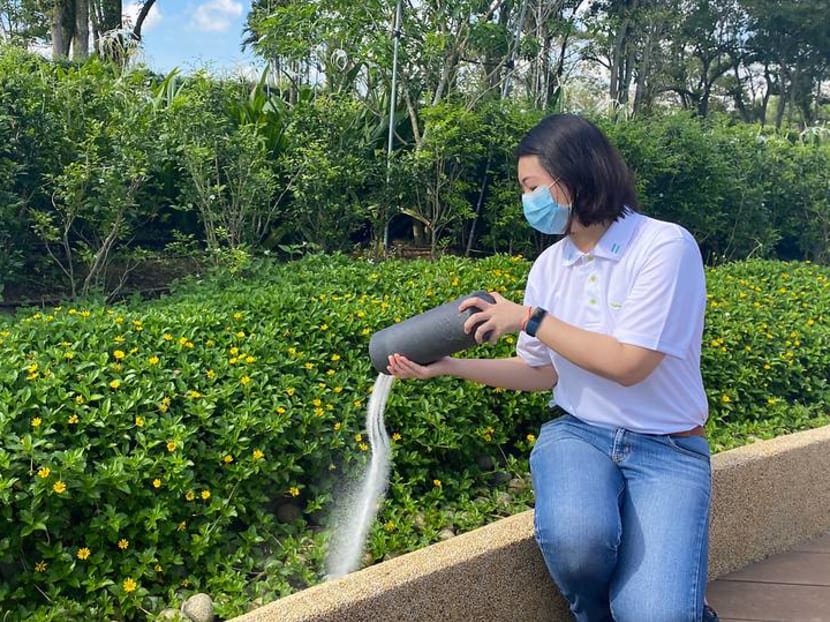 Ash scattering garden in Choa Chu Kang receives 1,900 applications; another site to open by 2024: NEA