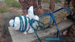 Related article image