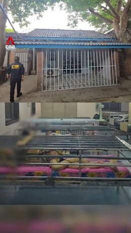 Bed cages and barred rooms: Thai authorities probe elder care facility over alleged abuse