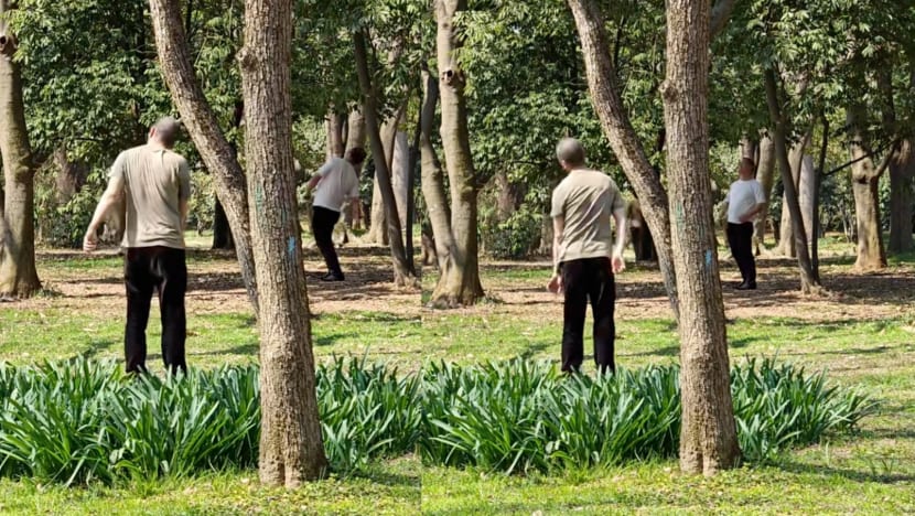 Elderly Men Spotted Moving Like Zombies In A Park Known As The “Zombie Training Ground” Elderly Men Spotted Moving Like Zombies In A Park Known As The “Zombie Training Ground”