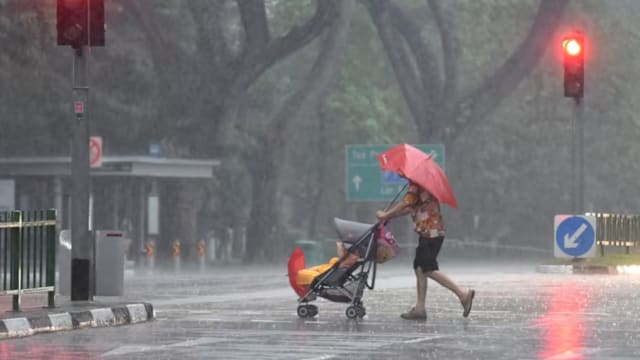 本地未来两周 下午料出现雷阵雨