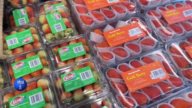 狮城有约 | 超市开盒换草莓 是合理挑选还是“偷”？