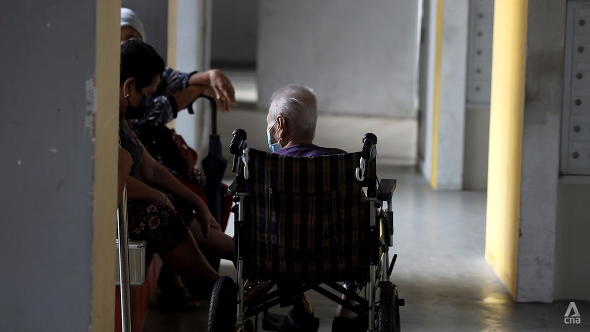 Pioneer Generation Fund liabilities exceed balance by nearly S5 million
