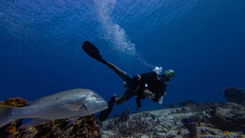 As the UN's High Seas Treaty takes effect, what does it mean for Southeast Asia?