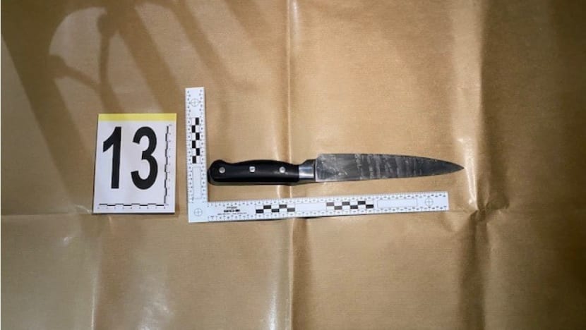 Police trained to fire at centre of the body to stop threat of serious hurt or death: Shanmugam