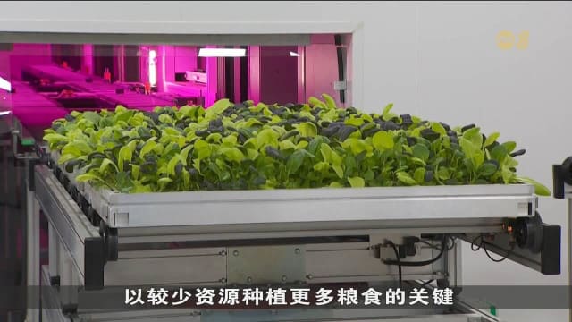 许宝琨：创新科技助力本地农业 提升粮食安全