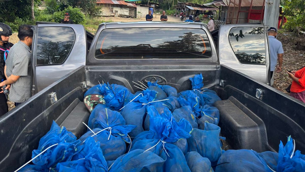 Men moving 81 macaques, meth arrested in Thailand