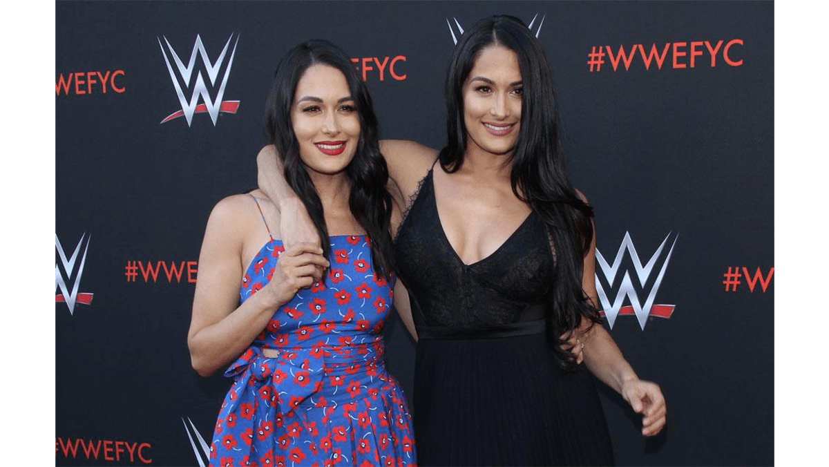 Nikki and Brie Bella to release new memoir 8days(01)