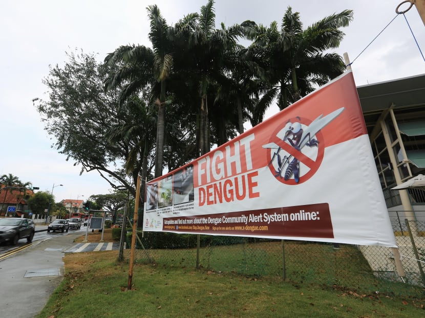 The population of the Aedes mosquito, which carries dengue, has been increasing, NEA said on Oct 30, 2020. The population of the Aedes mosquito, which carries dengue, has been increasing, NEA said on Oct 30, 2020.