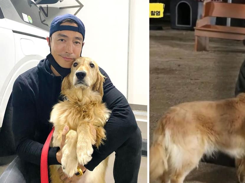 The dog lover and animal activist was instantly drawn to the pooch as it reminded him of his late golden retriever named Mango.