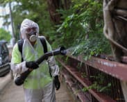 Chikungunya in China: What you need to know