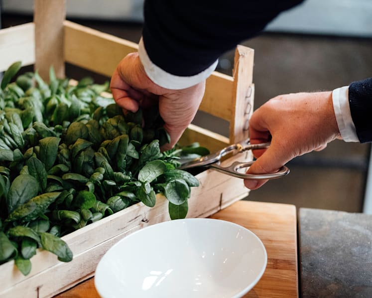 High-tech vertical farms to begin operations next year and bring fresher leafy greens to S’poreans’ plates