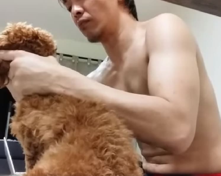 Man gets jail for punching poodle and hitting it with a hanger in 'inhumane and vicious' case