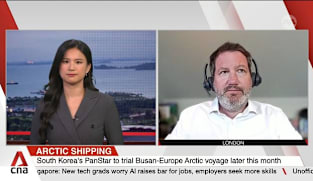 Arctic shipping route offers faster but niche alternative to Europe: Analyst