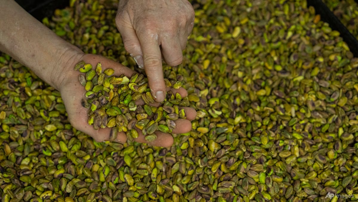 Commentary: Methanol, pistachios and cement - other Iranian exports choked by the war