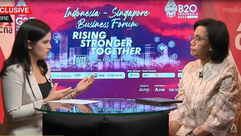 Global economic recovery from COVID-19 overshadowed by food, energy supply disruptions: Indonesian finance minister Global economic recovery from COVID-19 overshadowed by food, energy supply disruptions: Indonesian finance minister