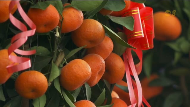 今年年花预订情况较慢热 有业者推出蛇主题设计吸引顾客