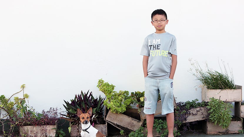 The Big Read: Behold, the rise of Singapore’s eco-warriors and foot soldiers