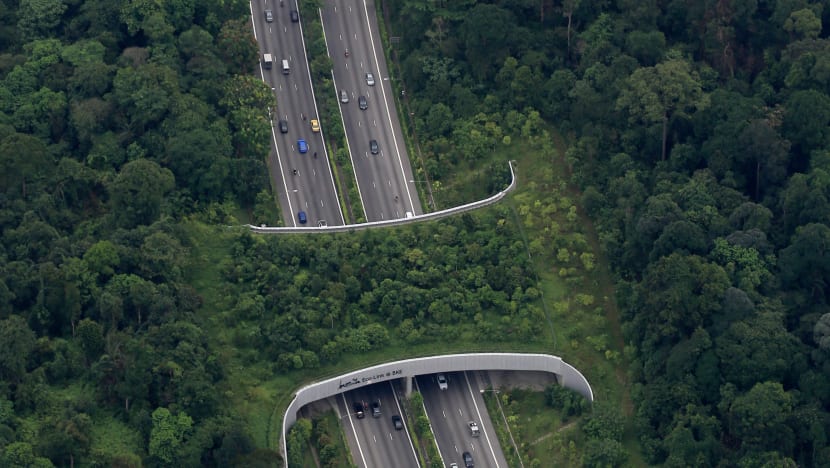 Looking Ahead to 2018: To tackle climate change, all hands needed on deck
