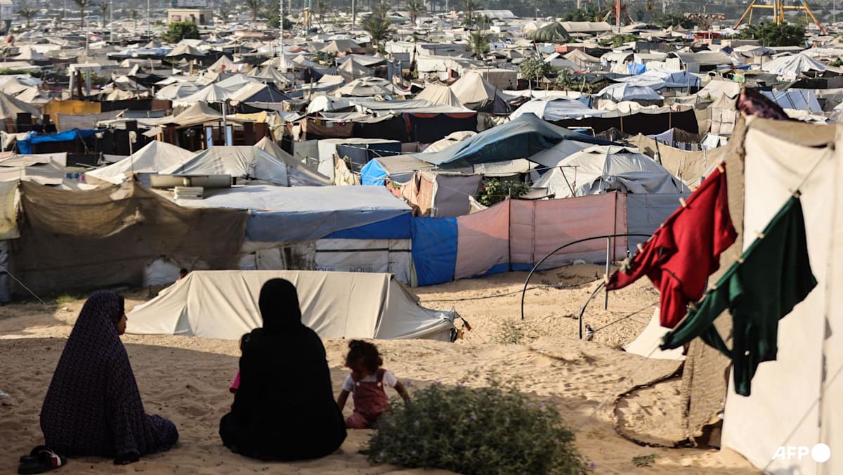 Hamas under pressure as Trump issues deadline on Gaza peace plan