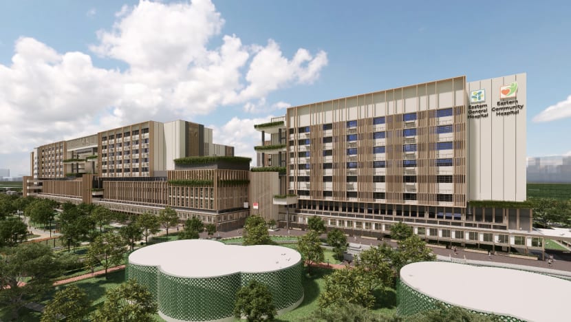 New hospital in Bedok to start some services before 2030 completion: Ong Ye Kung New hospital in Bedok to start some services before 2030 completion: Ong Ye Kung