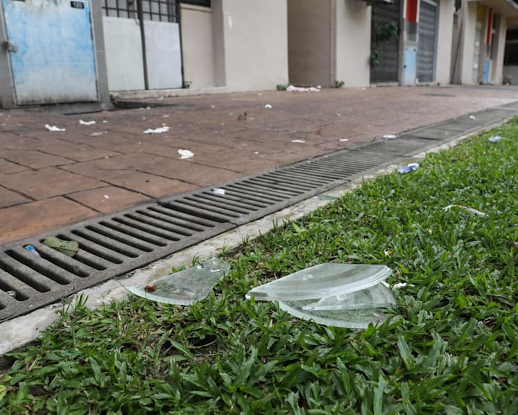 Explainer: Are suspects ‘guilty until proven innocent’ under revised killer litter law and who bears the burden of proof?