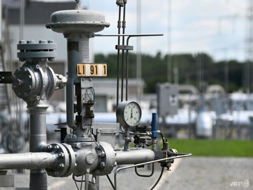 Commentary: Vladimir Putin has forced EU into long-overdue energy union